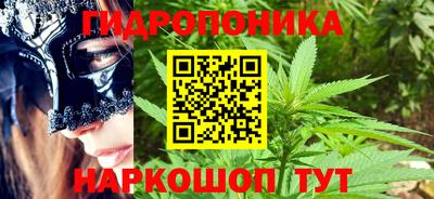 кокс Донской