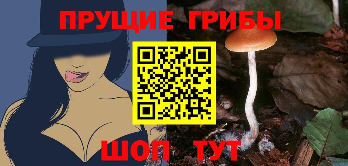 Псилоцибиновые грибы MAGIC MUSHROOMS  Галлюциногенные грибы мицелий  Вход с VPN  Отрадное 