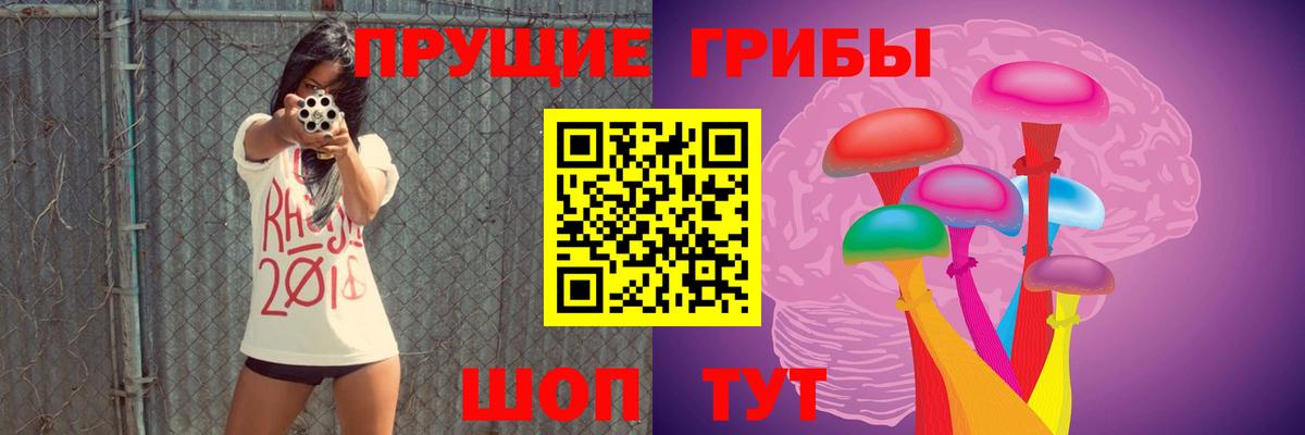 Псилоцибиновые грибы прущие грибы Отрадное